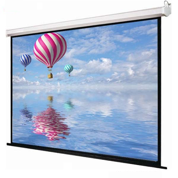 Màn chiếu treo tường Dalite P60WS 2